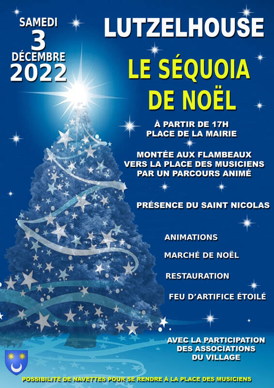 Le Séquoia de Noël - Lutzelhouse