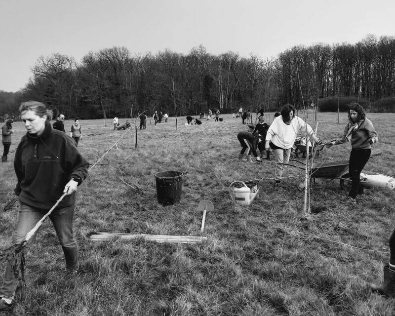 Chantier de plantation d'abres à Loches