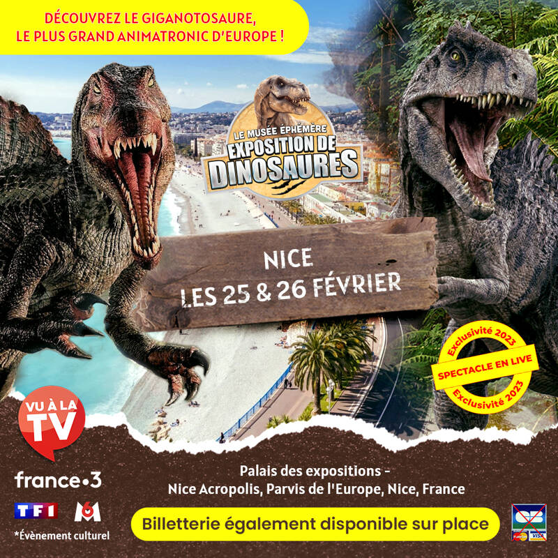 circuit dinosaure – Jardin d'enfants