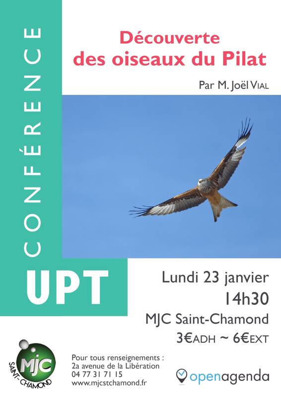 Découverte des oiseaux du Pilat
