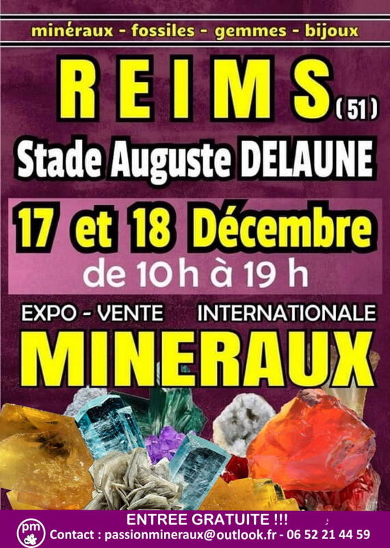 EXPO VENTE REIMS MINÉRAUX FOSSILES BIEN ÊTRE