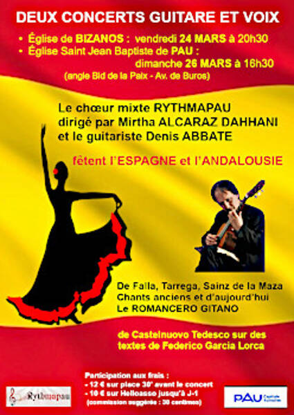 Concert Guitare et Voix