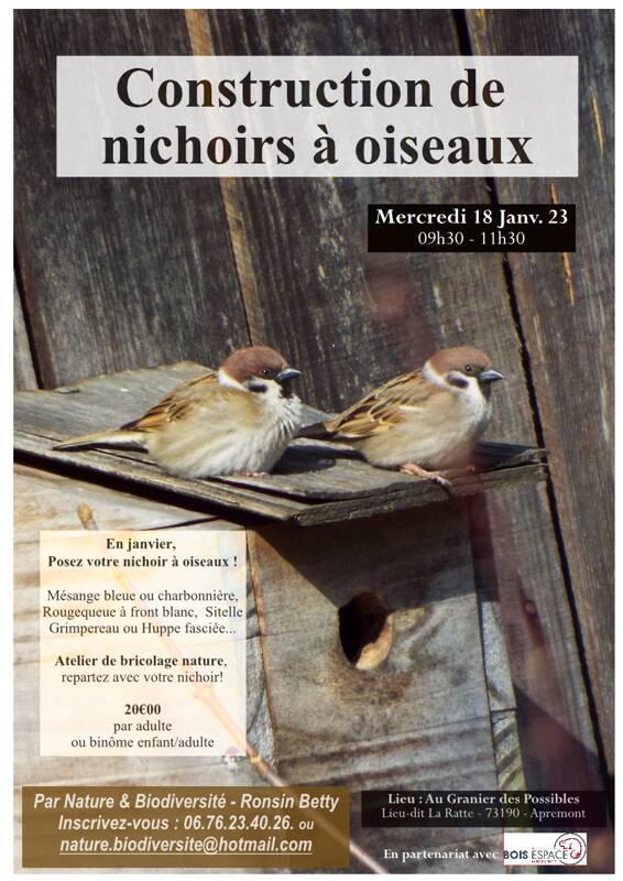 Atelier Construction de nichoirs à oiseaux !