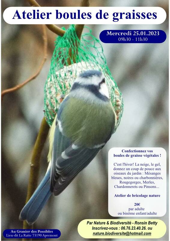 Confection de boules de graisses pour oiseaux, Apremont (73)