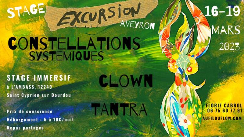 Stage Excursion : Constellations Systémiques, Clown & Tantra / Aveyron / Prix de conscience