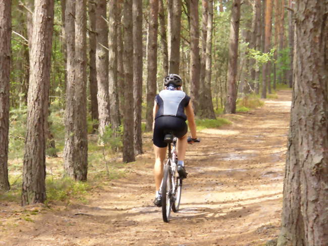 Prix vélo loisirs Fédération Française de Cyclisme