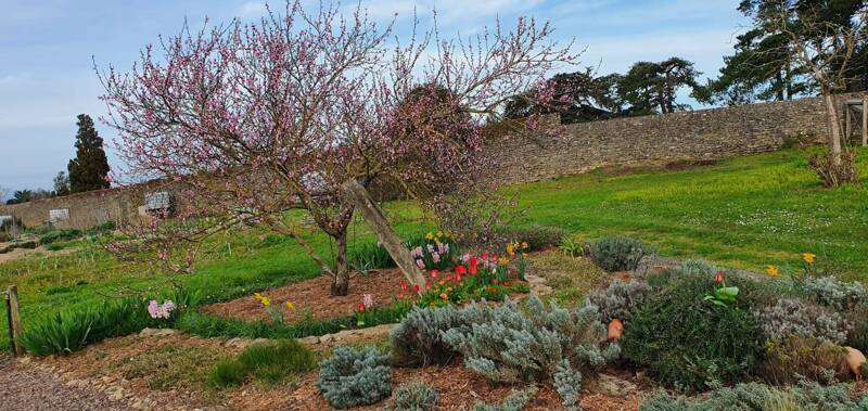 Vide jardin à l'Abbaye Notre Dame de la Chaume