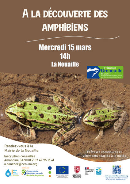 A la découverte des amphibiens