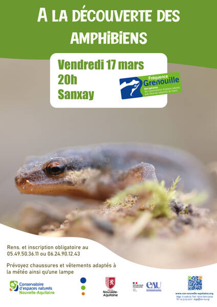 A la découverte des amphibiens