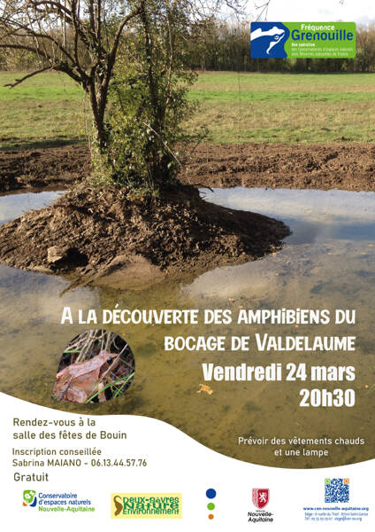 A la découverte des amphibiens du bocage de Valdelaume