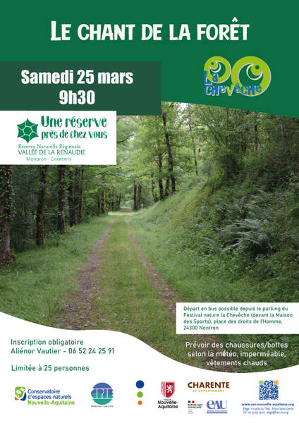 Balade : Le chant de la forêt