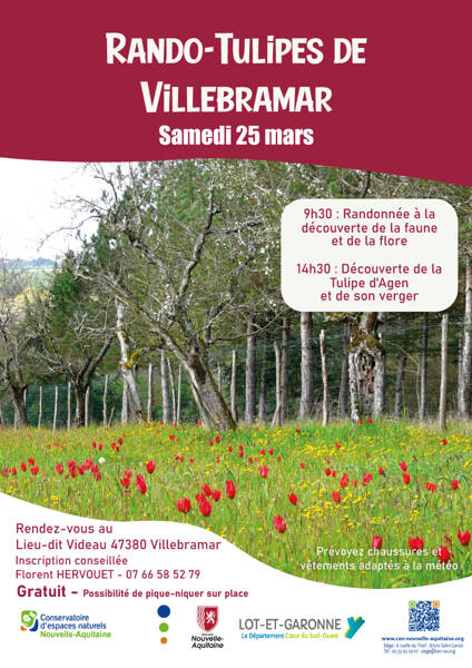 Rando-Tulipes de Villebramar