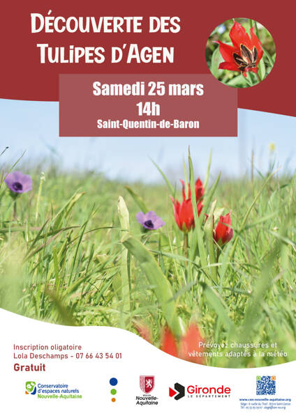 Découverte des Tulipes d’Agen