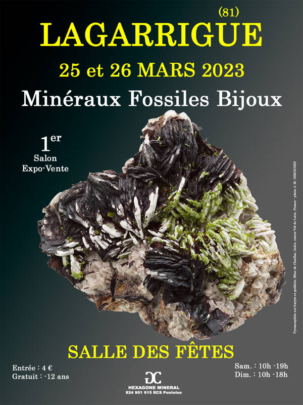 1er SALON MINERAUX FOSSILES BIJOUX de LAGARRIGUE (Tarn)