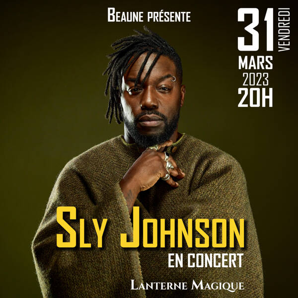 Concert de Sly Johnson