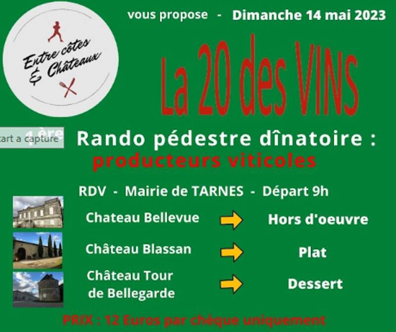 La 20 des VINS