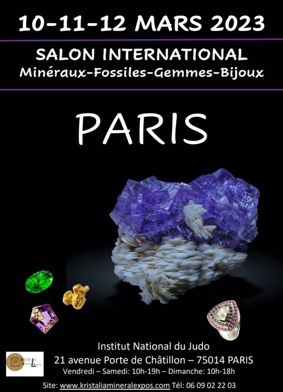 Salon international Minéraux gemmes fossiles bijoux Paris
