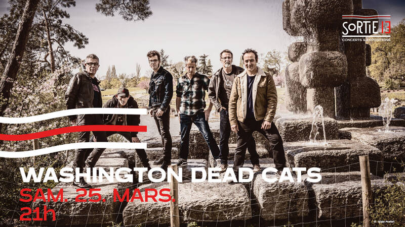 WASHINGTON DEAD CATS • Sortie 13