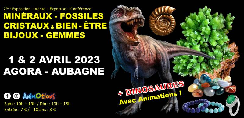 2ème Salon Minéraux Fossiles Cristaux & Bien-Être Bijoux et Gemmes  + Exposition de Dinosaures
