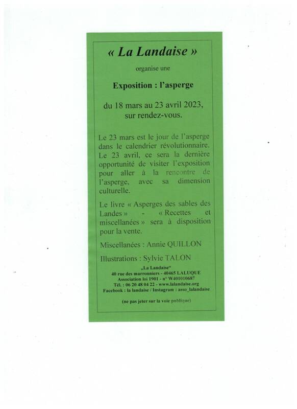 Exposition : l'asperge