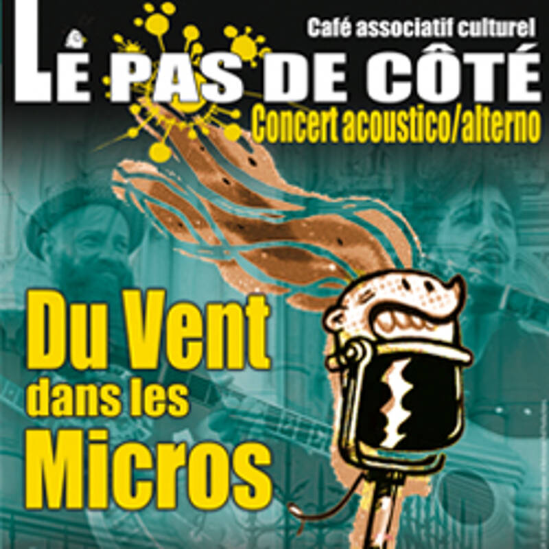 DU VENT DANS LES MICROS en concert