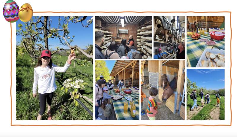 Balade chocolatée, visite et gouter à la Ferme à Reignier
