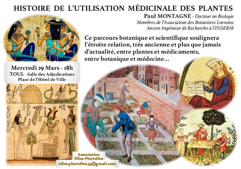 HISTOIRE de l'UTILISATION MÉDICINALES des PLANTES