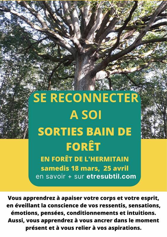 BAIN DE FORÊT Se reconnecter à soi