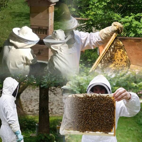 Stage Apiculture Naturelle