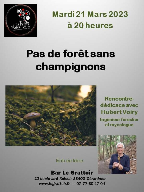 Pas de forêt sans champignons