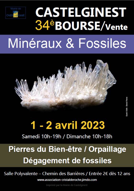 34è bourse vente minéraux et fossiles Castelginest (31780)