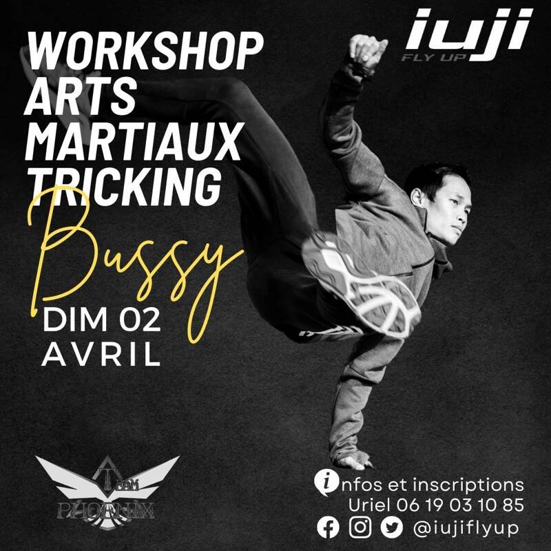 Workshop arts martiaux tricking