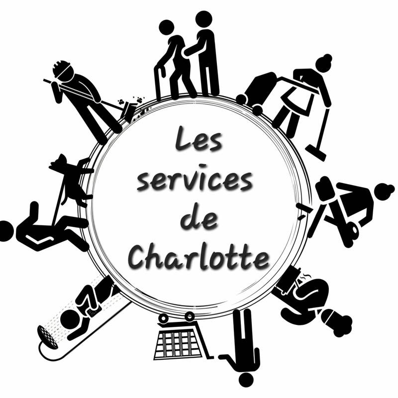 Service d'aide à la personne  e