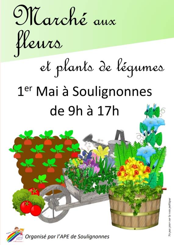 Marché aux fleurs et plants de légumes