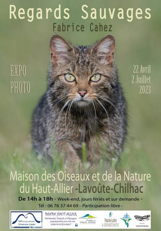 exposition photographique « Regard Sauvage » de Fabrice CAHEZ