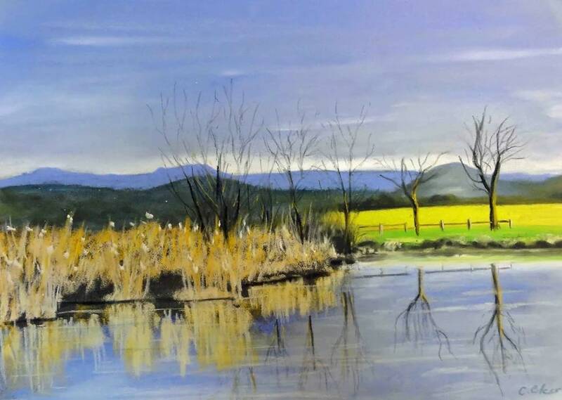 EXPOSITION « LA HAUTE-LOIRE EN PASTEL » DE CHRISTIAN CLESS