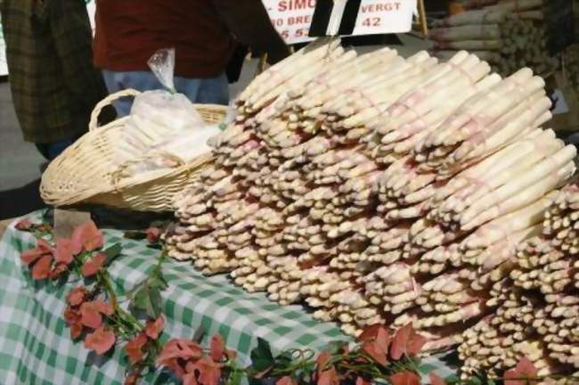 Fête de l'asperge