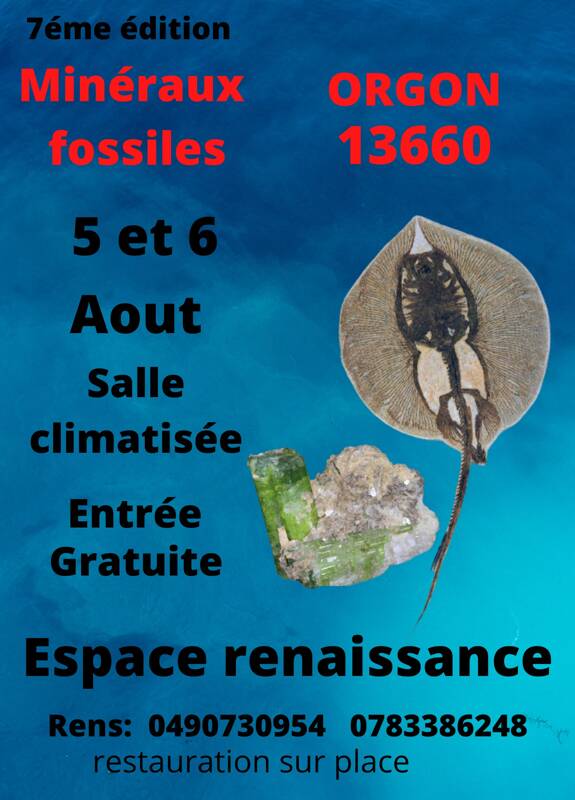 7 éme bourse mineraux fossiles d'orgon