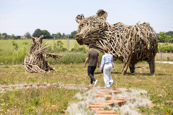 Festival des Jardins