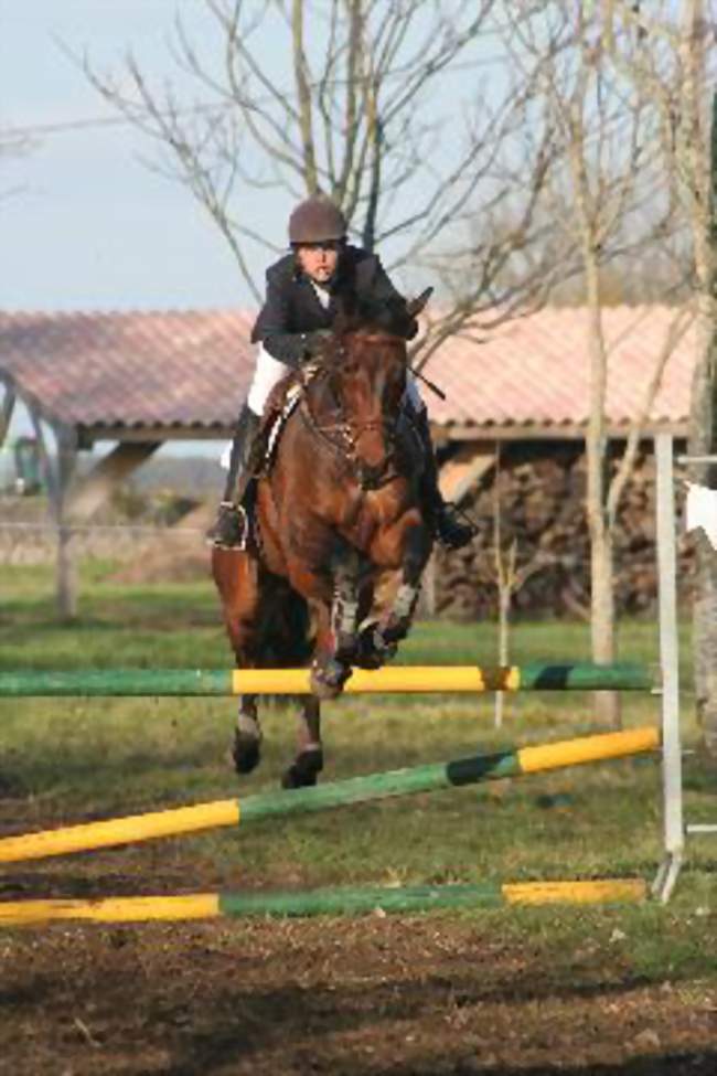 Championnat équestre d'Aquitaine