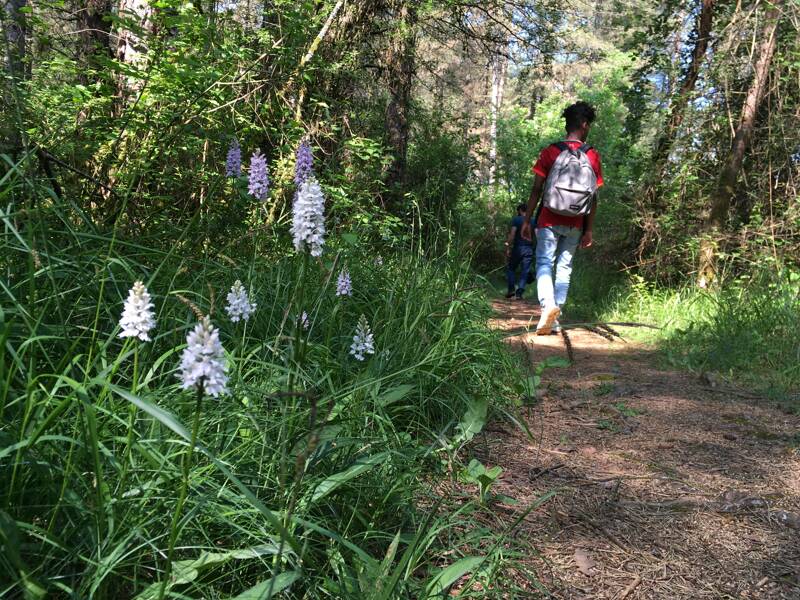 RANDO NATURE ET PATRIMOINE Yssandon