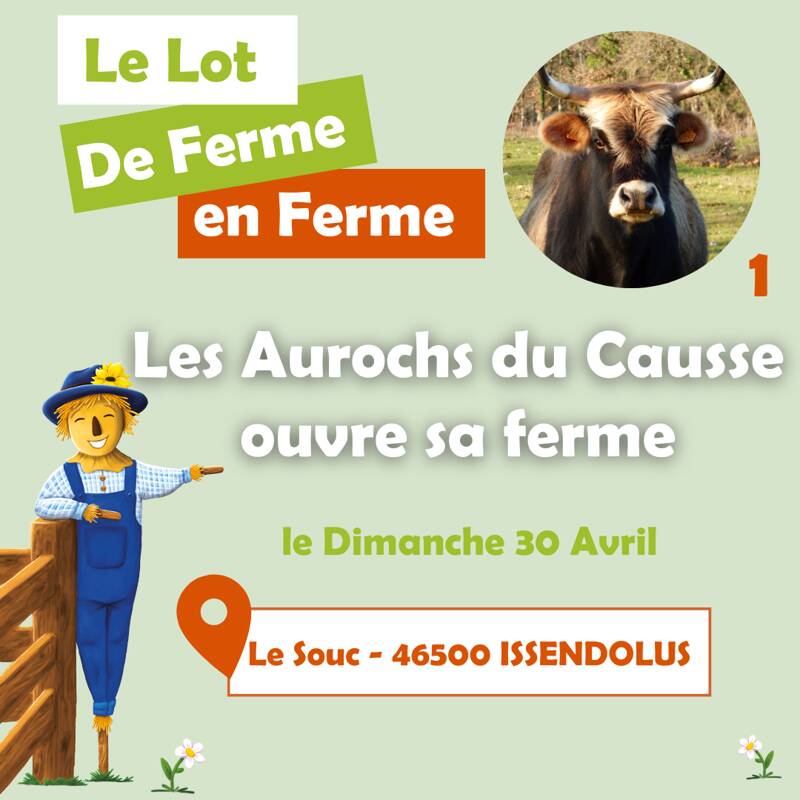 Le Lot de Ferme en Ferme - Les Aurochs du Causse ouvre sa ferme !