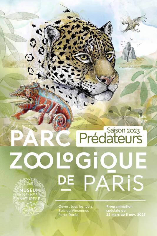 Saison Prédateurs au Parc Zoologique de Paris