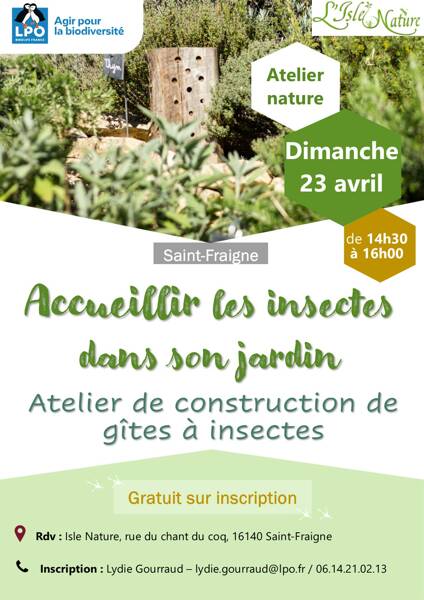 Accueillir les insectes dans son jardin