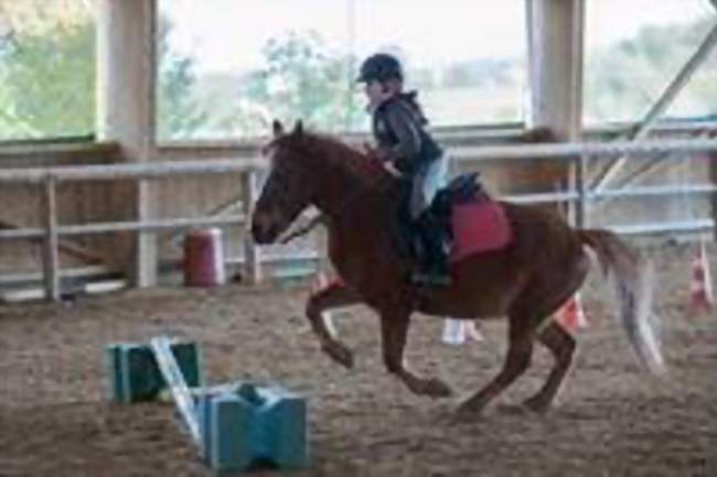 CHAMPIONNAT DÉPARTEMENTAL DE VOLTIGE