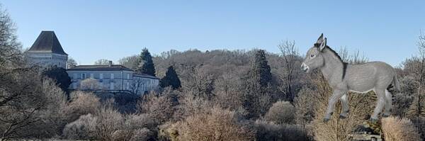 Jeu de piste (géocaching)