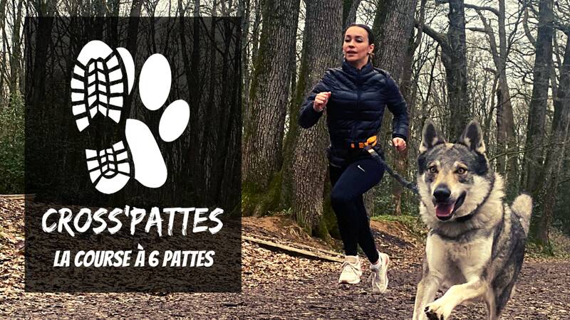 Cross'Pattes : un canicross caritatif !