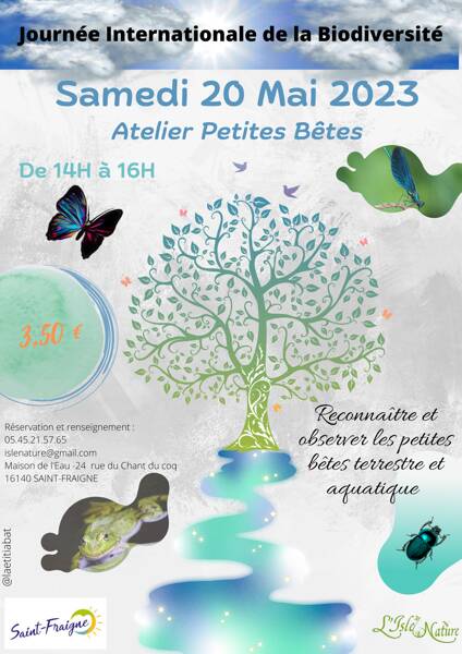 Atelier petites bêtes