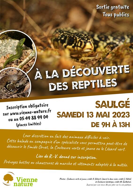 À la découverte des Reptiles