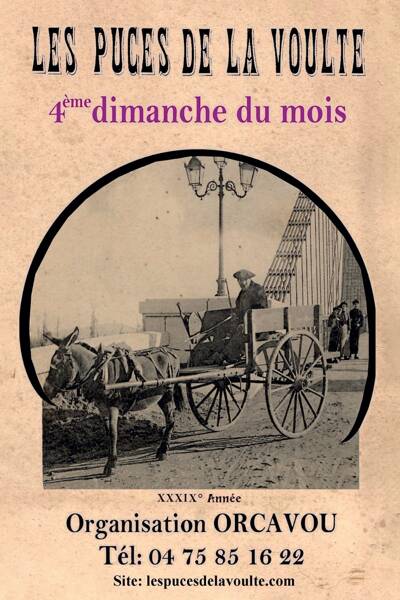 LES PUCES de LA VOULTE